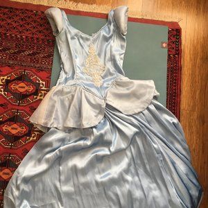 Cinderella Ballgown Dress Costume